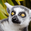 mellemur